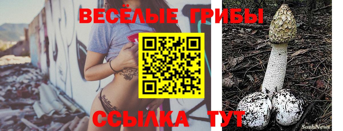 Галлюциногенные грибы мицелий Кубинка